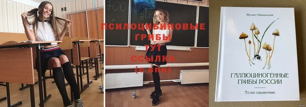 амф Вяземский