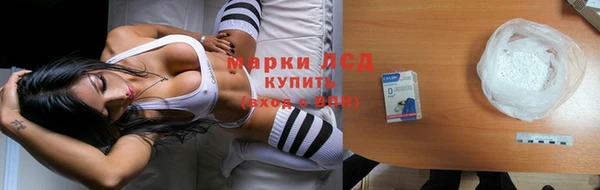 амф Вяземский
