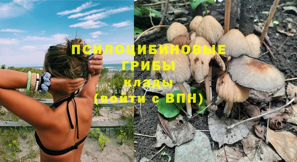 амф Вяземский